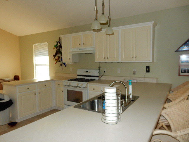 13035 Concord Drive East Lillian, AL 36549 - Photo 5 of 22
