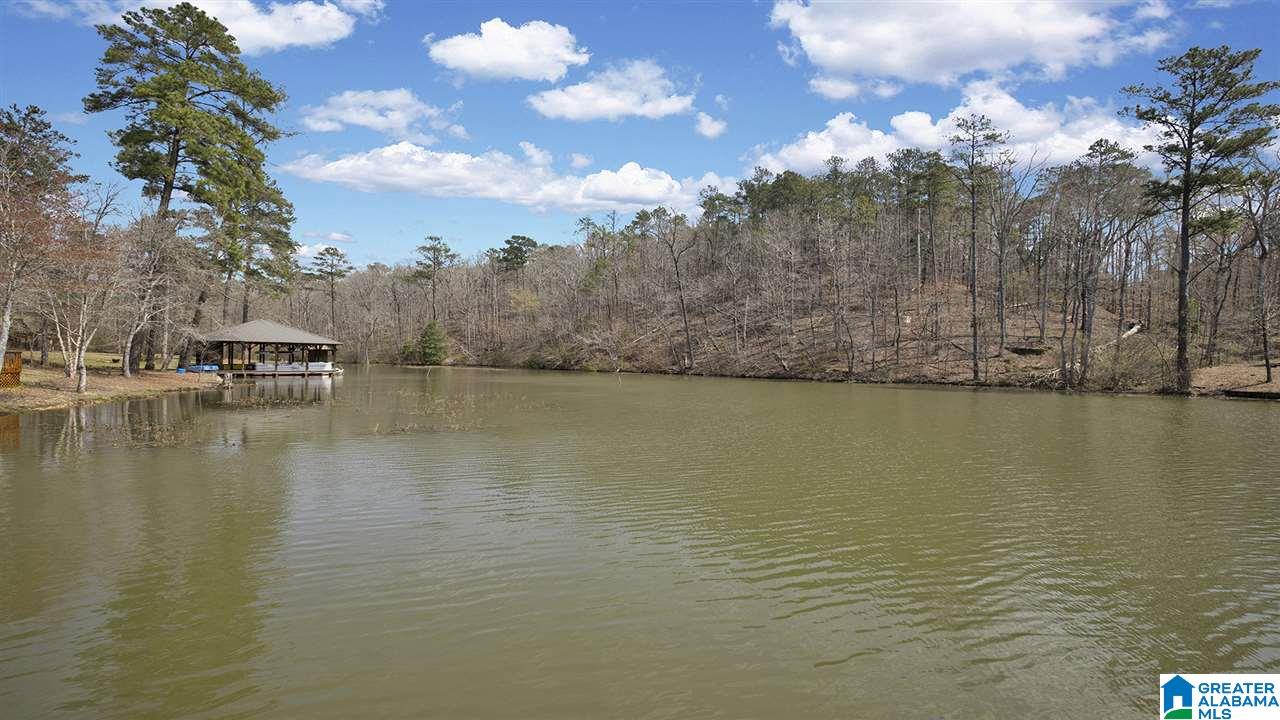 256 Big Y Cv Loop Rockford, AL 35136 - Photo 40 of 50