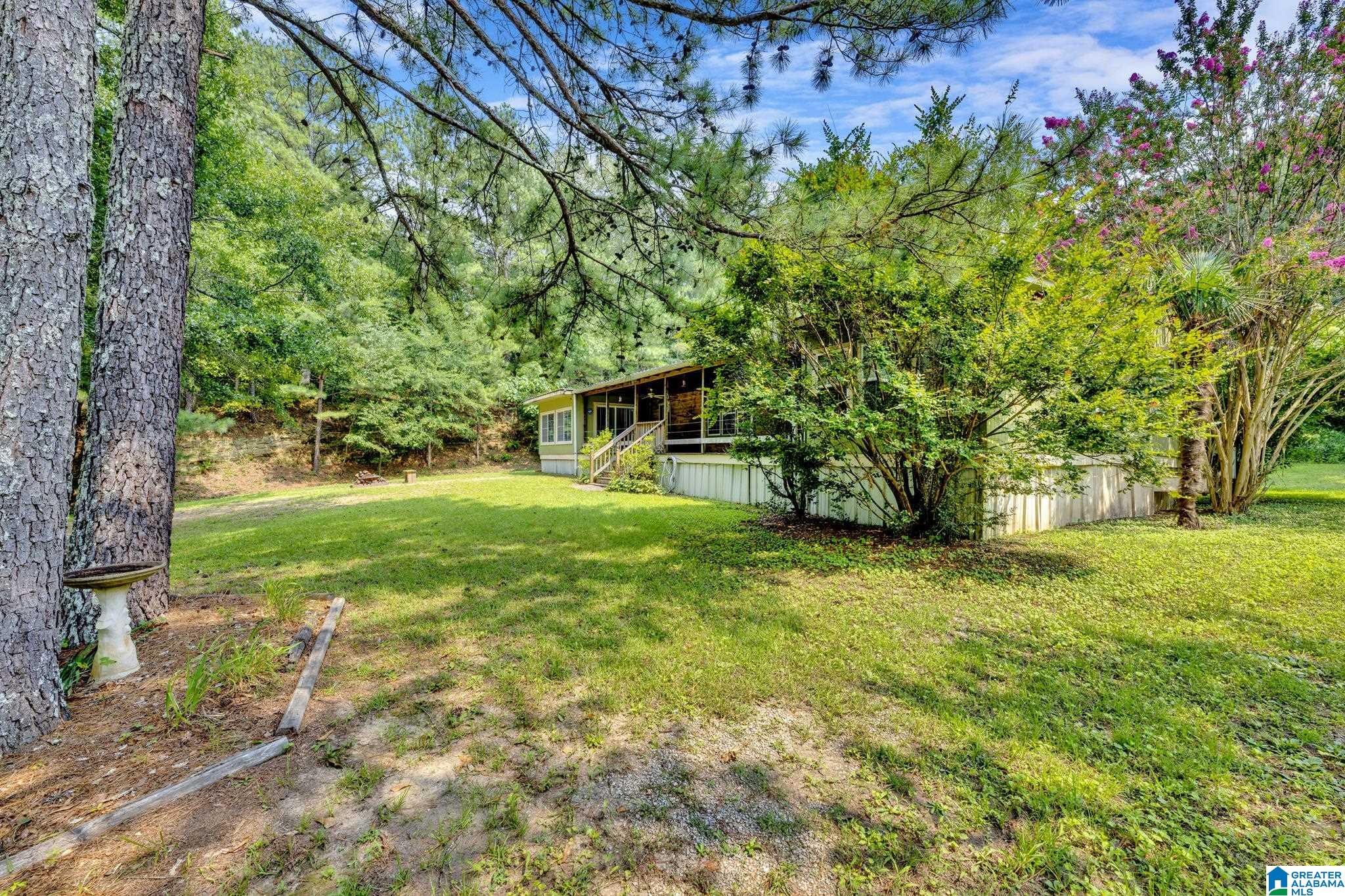 144 Teddy Road Oneonta, AL 35121 - Photo 7 of 52