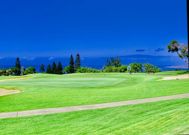 a view of a grassy field with an trees