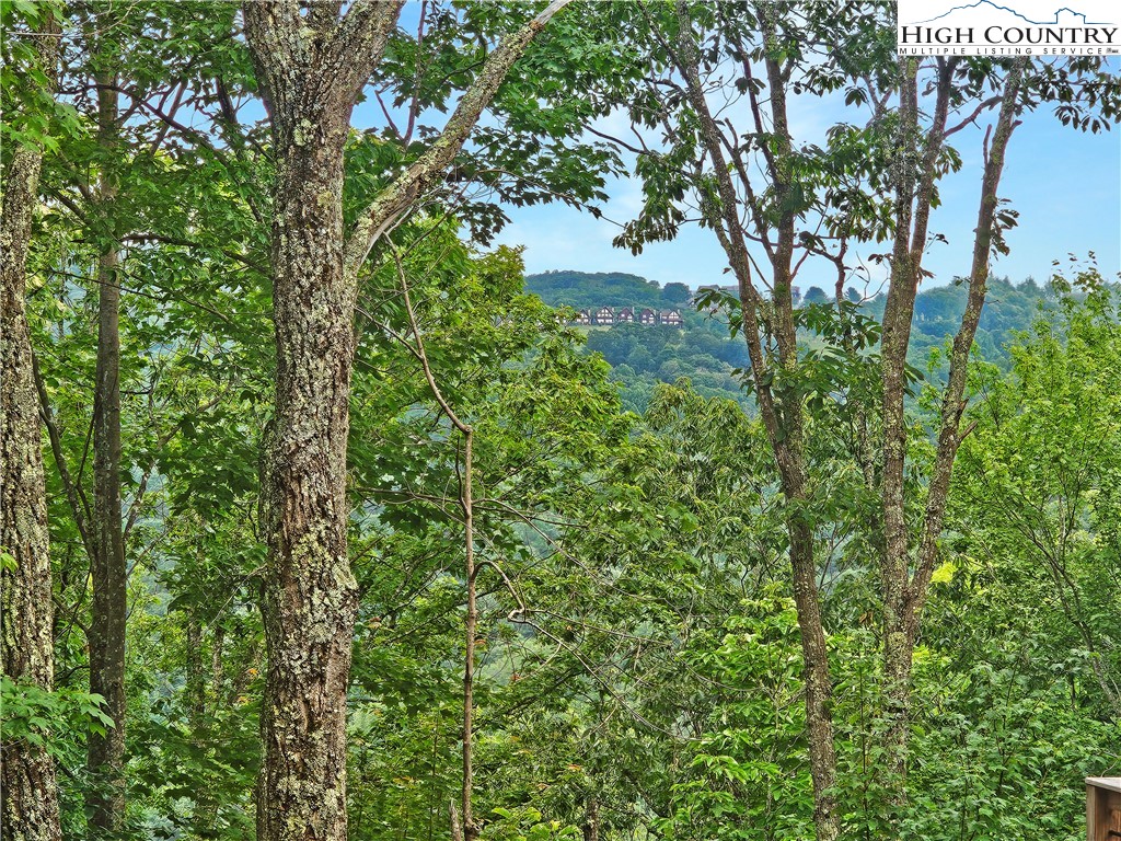 192 Rhododendron Drive Beech Mountain, NC 28604 - Photo 2 of 9 a view of a tree in a garden
