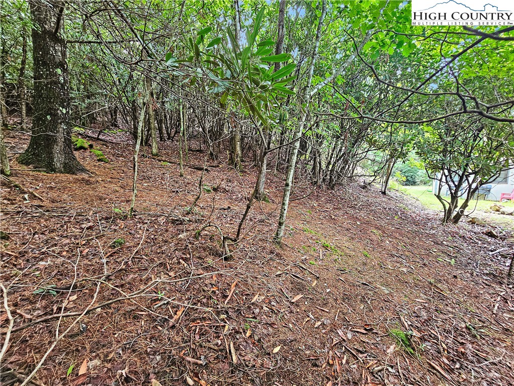 192 Rhododendron Drive Beech Mountain, NC 28604 - Photo 4 of 9 a backyard of a house with lots of green space