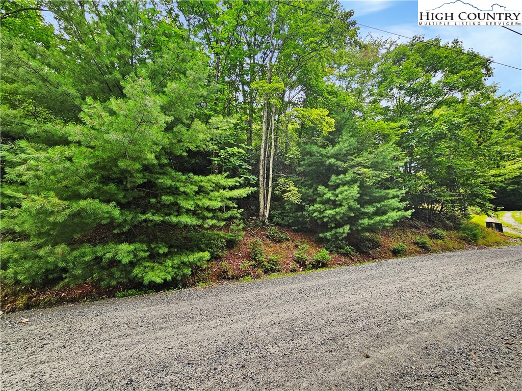 192 Rhododendron Drive Beech Mountain, NC 28604 - Photo 6 of 9 a view of a garden with plants