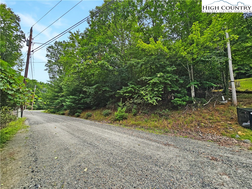 192 Rhododendron Drive Beech Mountain, NC 28604 - Photo 7 of 9 a view of a yard with plants and tree