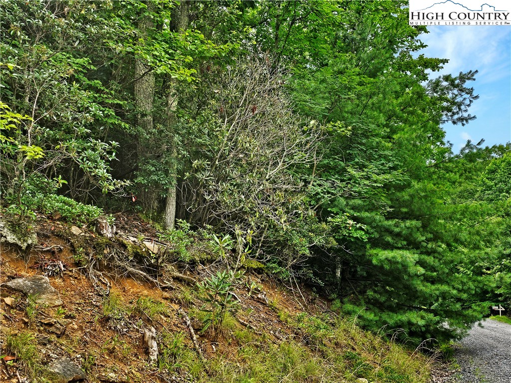 192 Rhododendron Drive Beech Mountain, NC 28604 - Photo 8 of 9 a view of a lush green forest