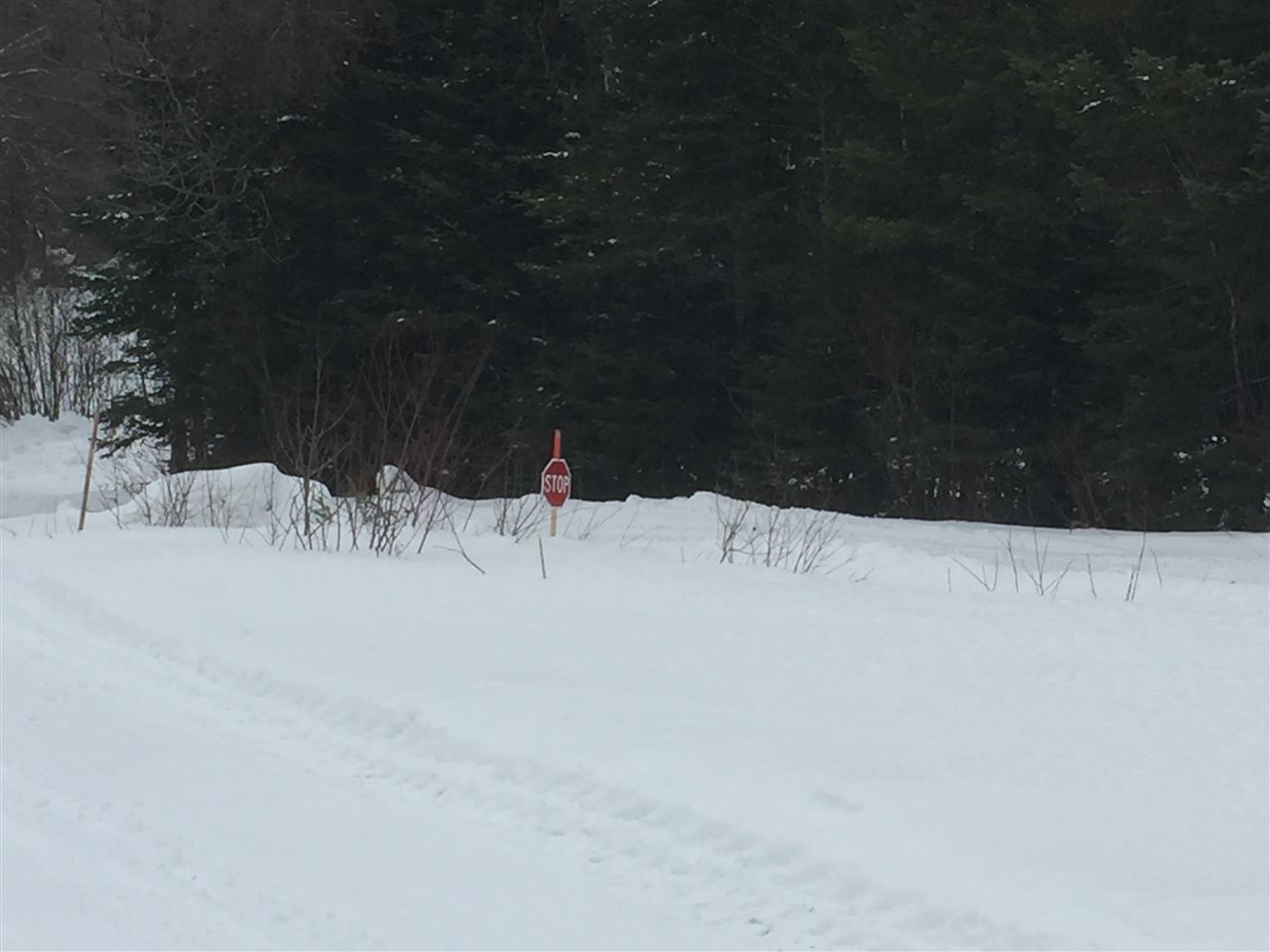 158 Island Pond Road Morgan, VT 05853 - Photo 8 of 13