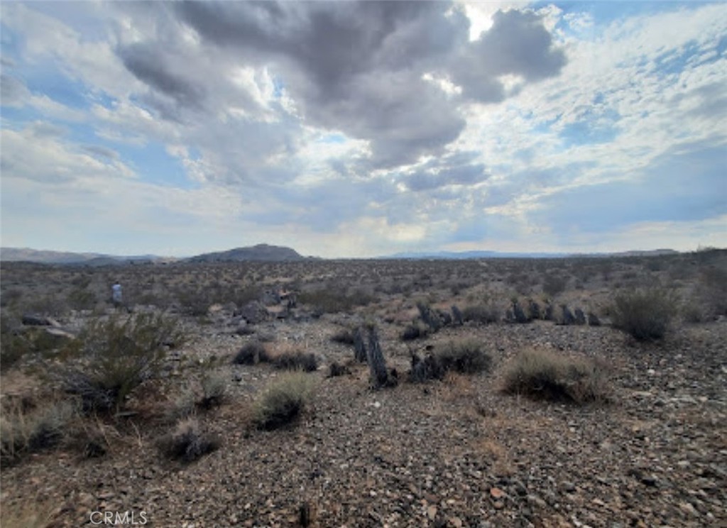 3170 Stonehill Avenue Joshua Tree, CA 92252 - Photo 11 of 11 a view of a field with plants and sky view