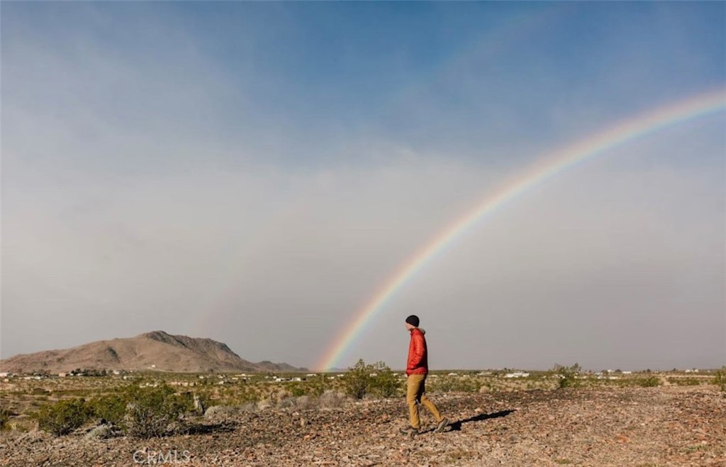 3170 Stonehill Avenue Joshua Tree, CA 92252 - Photo 6 of 11 a front view of a house with a yard