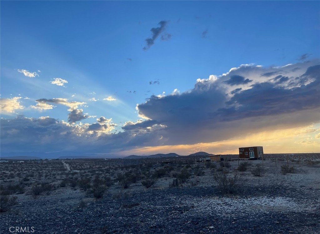 3170 Stonehill Avenue Joshua Tree, CA 92252 - Photo 9 of 11 a view of a dry yard