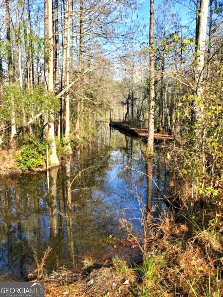 188 Brenda Road Twin City, GA 30471 - Photo 12 of 48 a view of houses with outdoor space