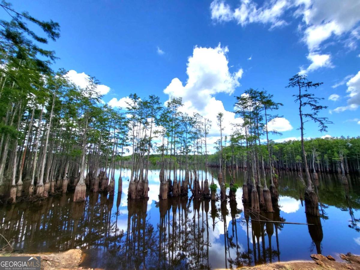 188 Brenda Road Twin City, GA 30471 - Photo 13 of 48 a view of a lake from a balcony