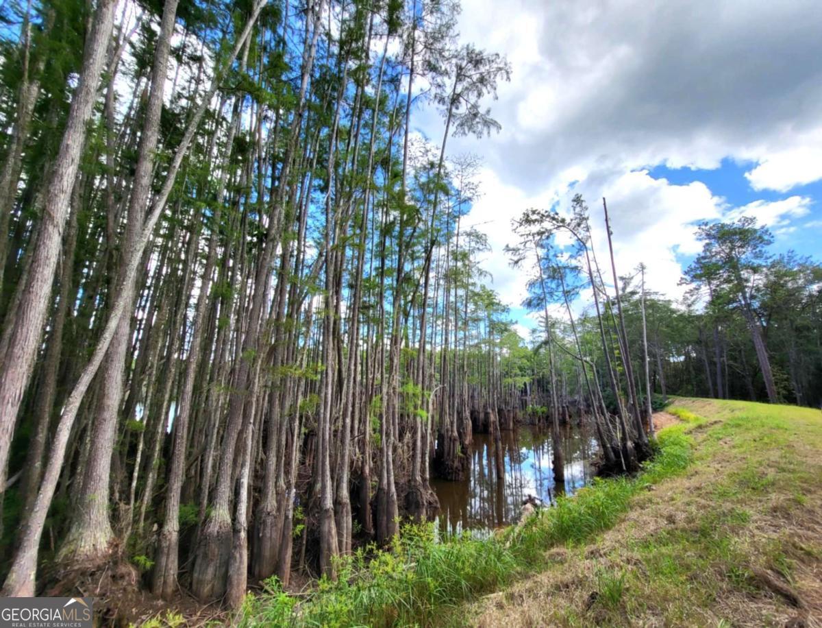 188 Brenda Road Twin City, GA 30471 - Photo 14 of 48 a view of a yard with plants and wooden fence