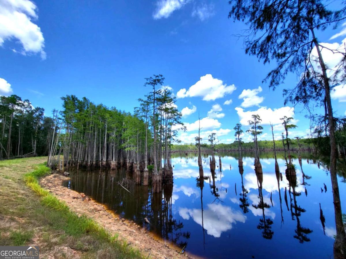 188 Brenda Road Twin City, GA 30471 - Photo 15 of 48 a swimming pool with outdoor seating and garden