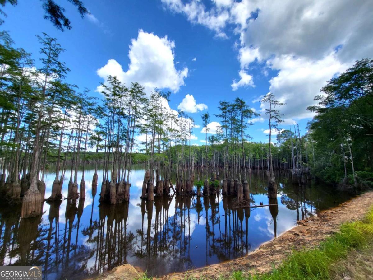 188 Brenda Road Twin City, GA 30471 - Photo 16 of 48 a view of a lake in a city with lots of trees and lake
