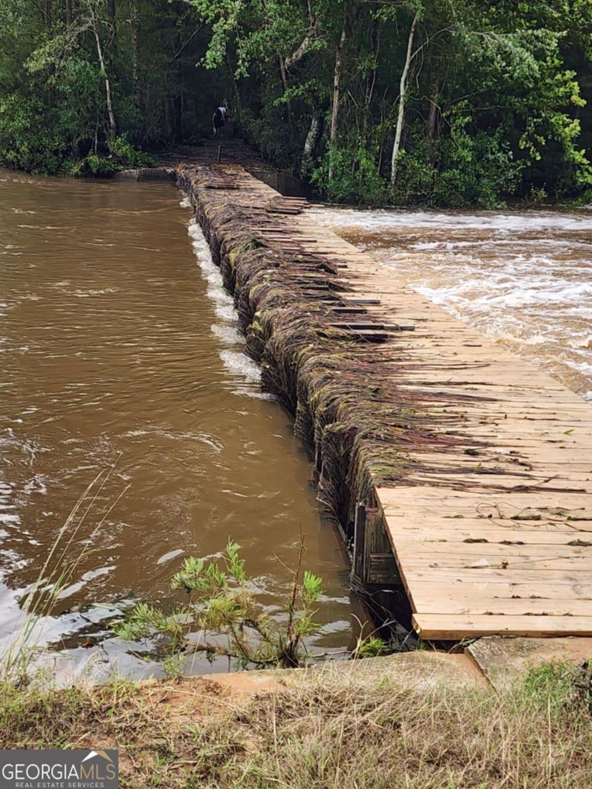 188 Brenda Road Twin City, GA 30471 - Photo 20 of 48 a view of a ocean view