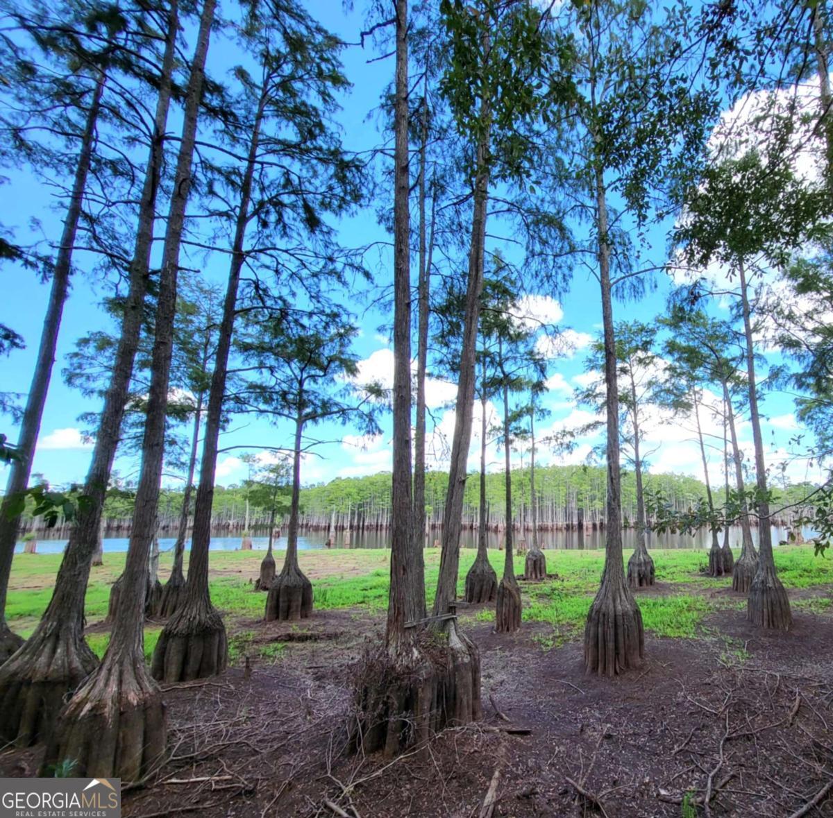 188 Brenda Road Twin City, GA 30471 - Photo 23 of 48 a view of a park with large trees