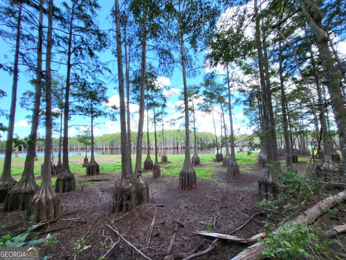 188 Brenda Road Twin City, GA 30471 - Photo 26 of 48 a view of outdoor space and green space