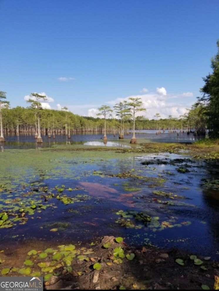 188 Brenda Road Twin City, GA 30471 - Photo 27 of 48 a view of a lake with a mountain