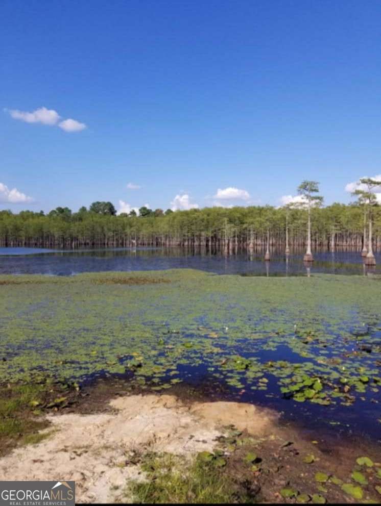 188 Brenda Road Twin City, GA 30471 - Photo 28 of 48 a view of a lake with a mountain in the background