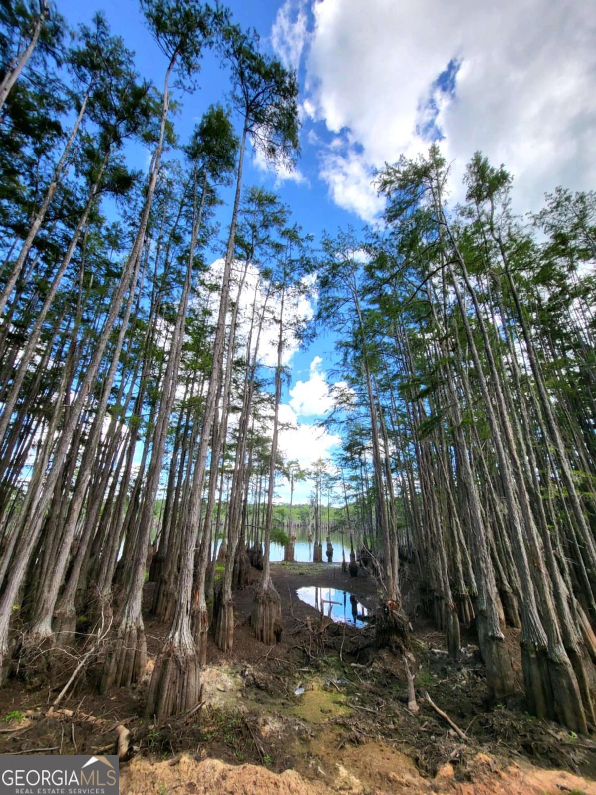 188 Brenda Road Twin City, GA 30471 - Photo 29 of 48 a view of a house with yard and tree s