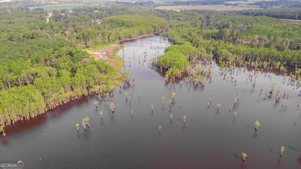 188 Brenda Road Twin City, GA 30471 - Photo 30 of 48 a view of a lake in middle of forest