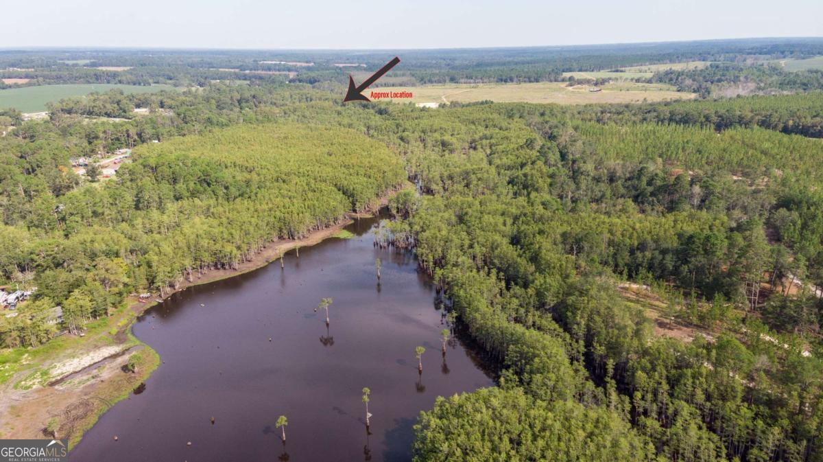 188 Brenda Road Twin City, GA 30471 - Photo 3 of 48 a view of a yard with an outdoor space