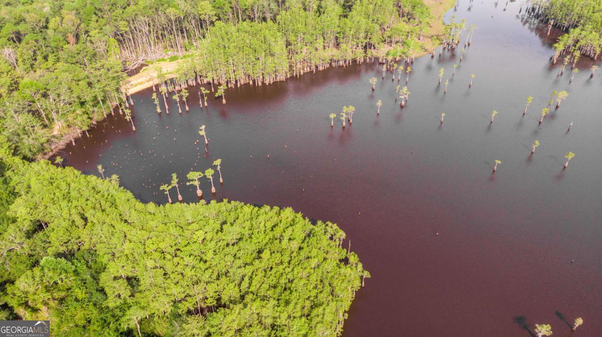 188 Brenda Road Twin City, GA 30471 - Photo 31 of 48