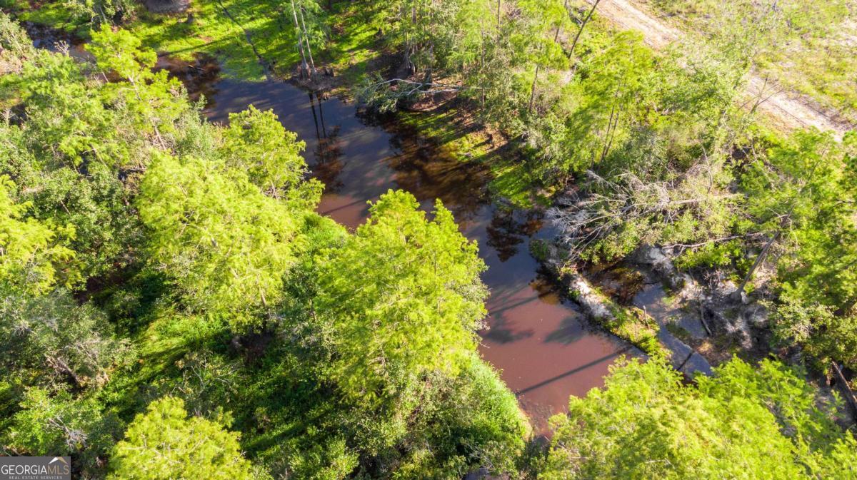 188 Brenda Road Twin City, GA 30471 - Photo 32 of 48 a view of a garden with plants