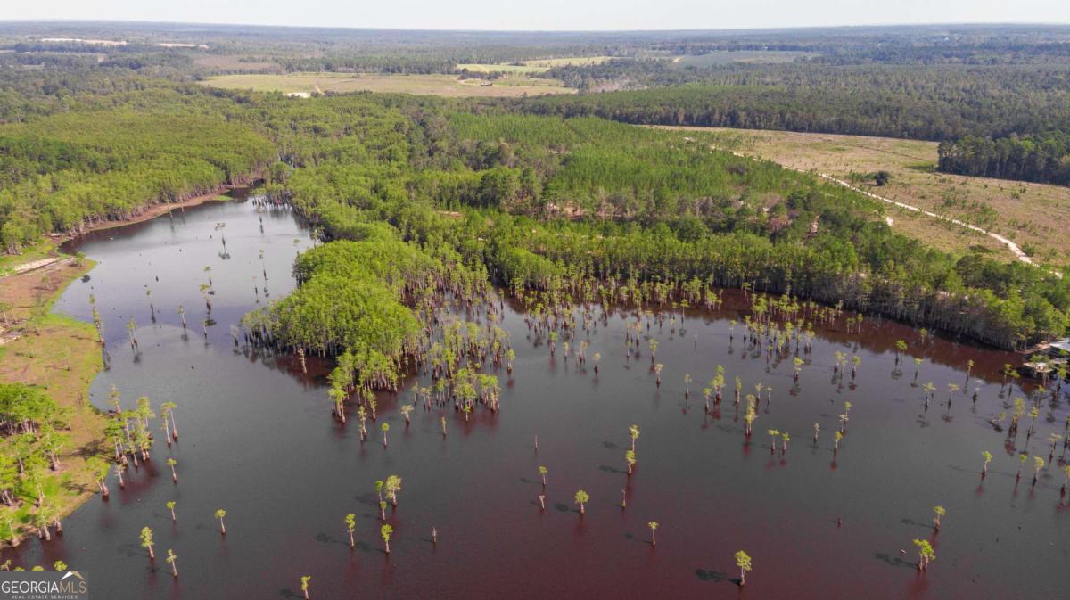 188 Brenda Road Twin City, GA 30471 - Photo 33 of 48 a view of a lake with a mountain in the background