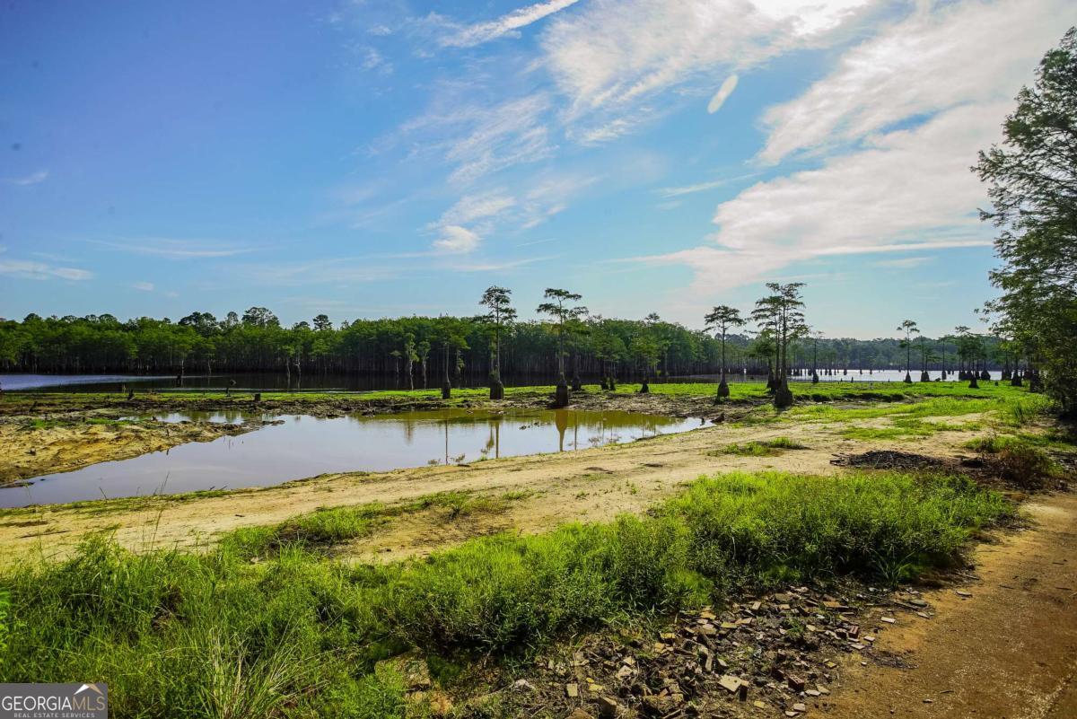 188 Brenda Road Twin City, GA 30471 - Photo 35 of 48 a view of a swimming pool with a yard