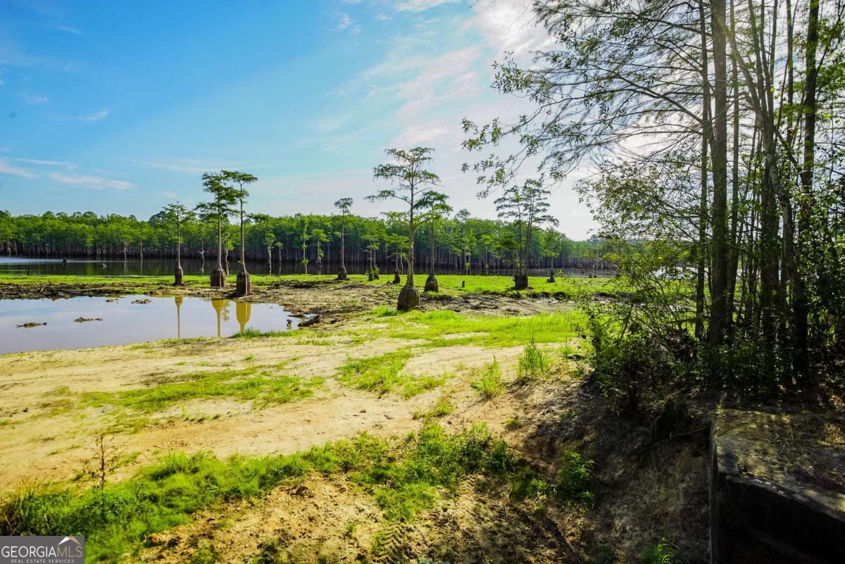 188 Brenda Road Twin City, GA 30471 - Photo 36 of 48 a view of outdoor space with swimming pool and green space