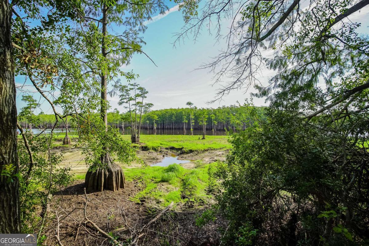188 Brenda Road Twin City, GA 30471 - Photo 37 of 48 a view of a park with large trees