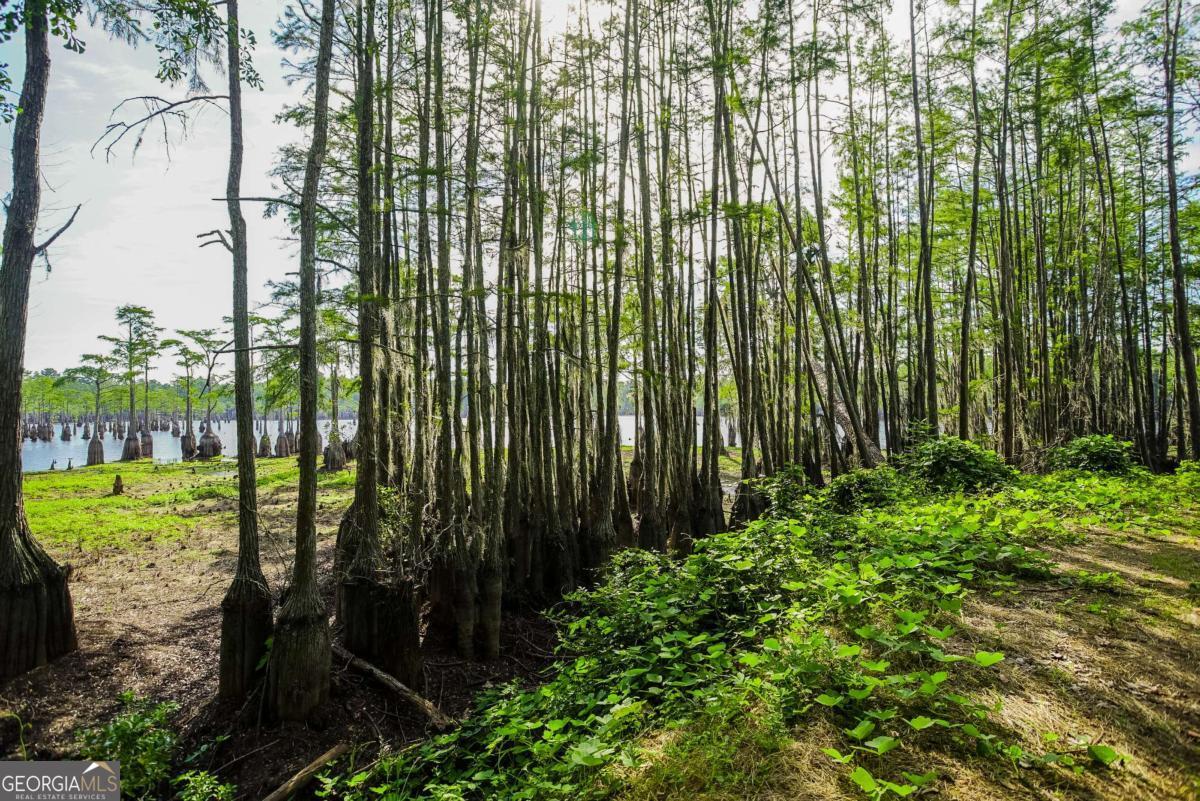 188 Brenda Road Twin City, GA 30471 - Photo 38 of 48 a view of outdoor space and garden