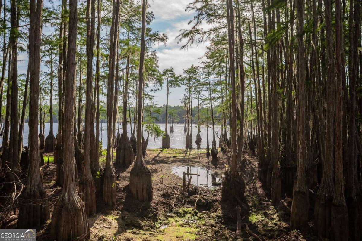 188 Brenda Road Twin City, GA 30471 - Photo 40 of 48 a view of outdoor space with garden view
