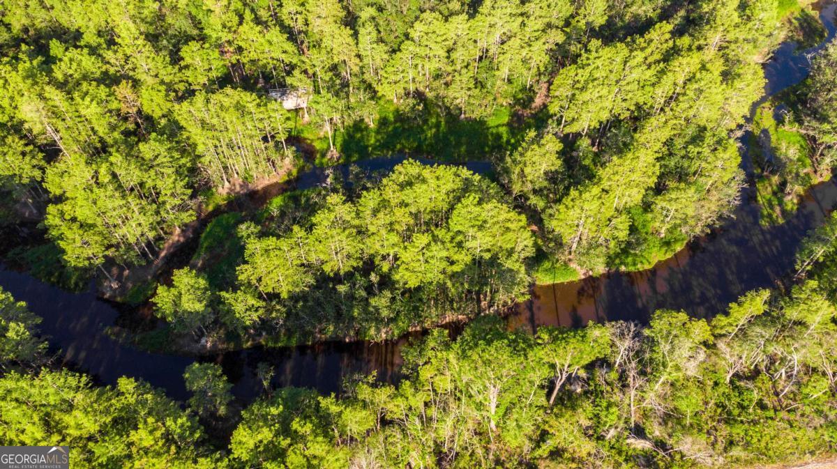 188 Brenda Road Twin City, GA 30471 - Photo 4 of 48 a backyard of a house with lots of green space and garden