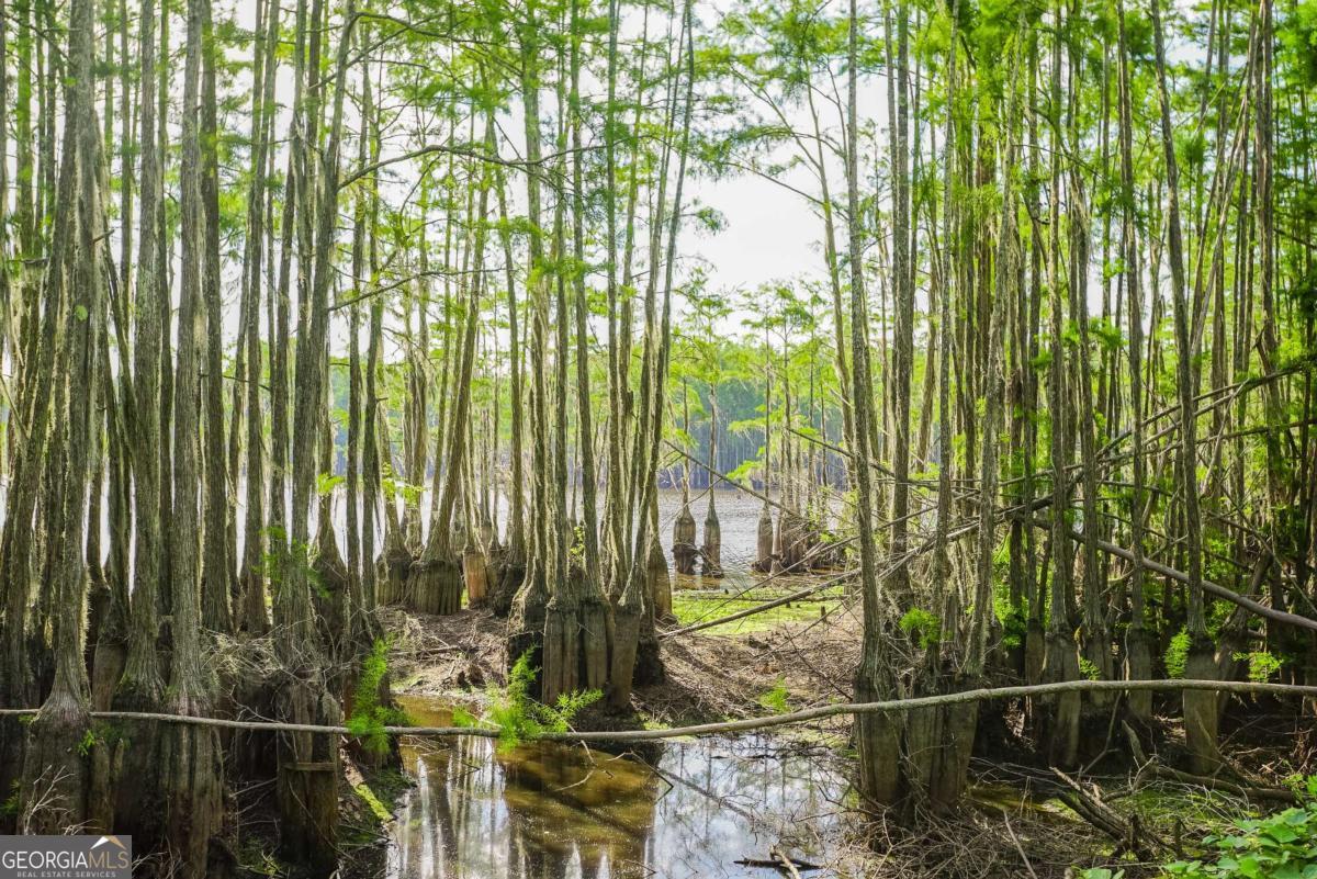 188 Brenda Road Twin City, GA 30471 - Photo 41 of 48 a view of balcony with street view