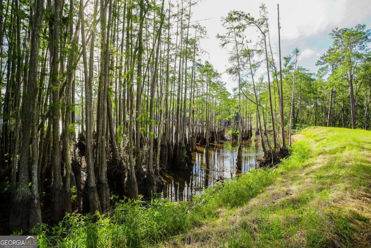 188 Brenda Road Twin City, GA 30471 - Photo 42 of 48 a view of yard with green space