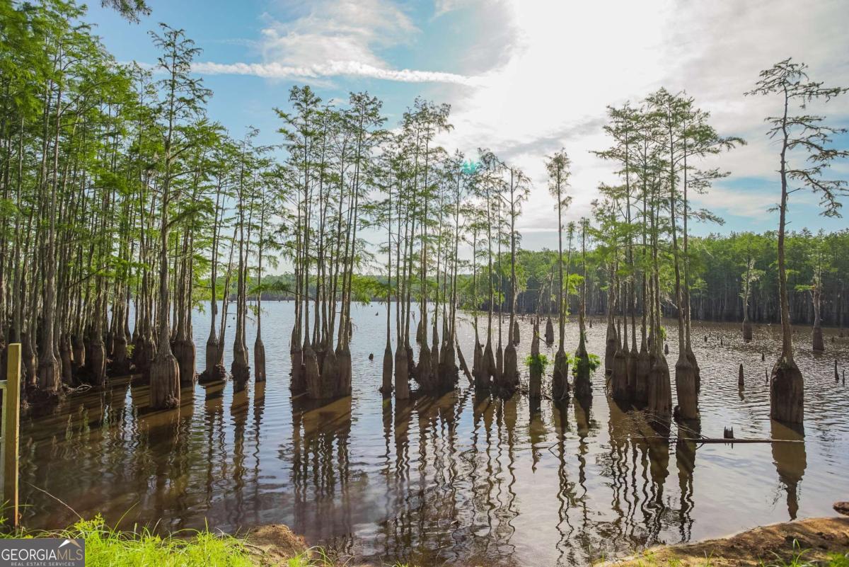 188 Brenda Road Twin City, GA 30471 - Photo 43 of 48 a view of a balcony with lake view