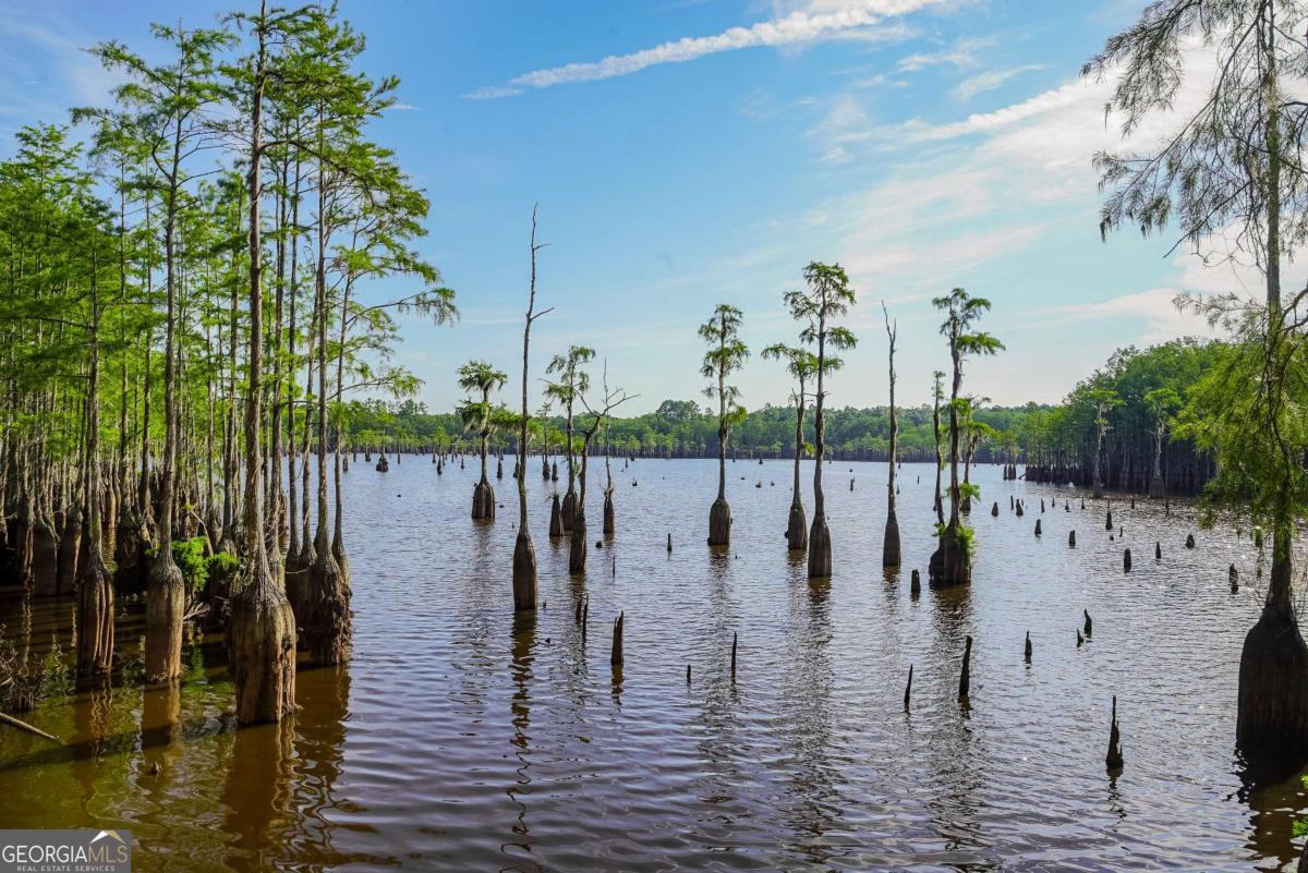 188 Brenda Road Twin City, GA 30471 - Photo 44 of 48 a lake view with a lake view