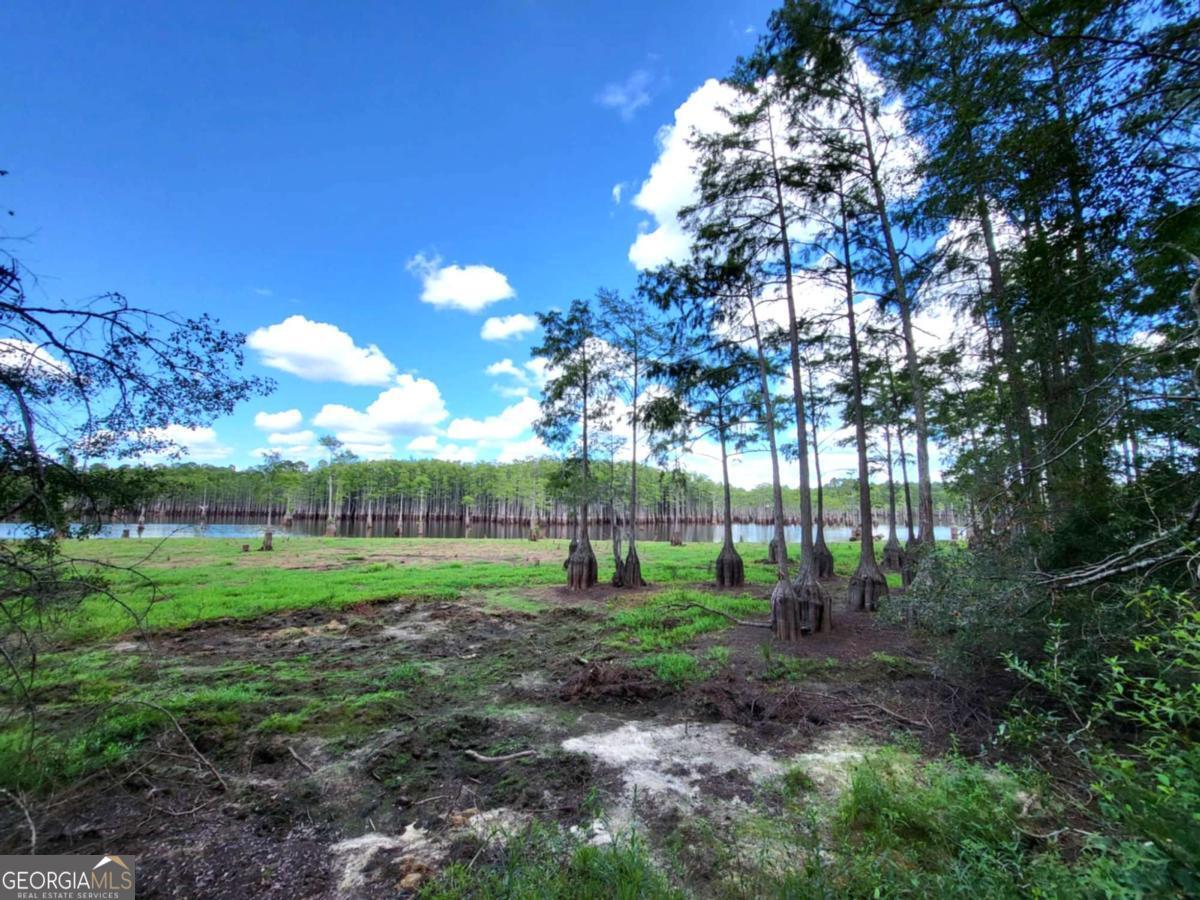 188 Brenda Road Twin City, GA 30471 - Photo 45 of 48 a view of a backyard with large trees