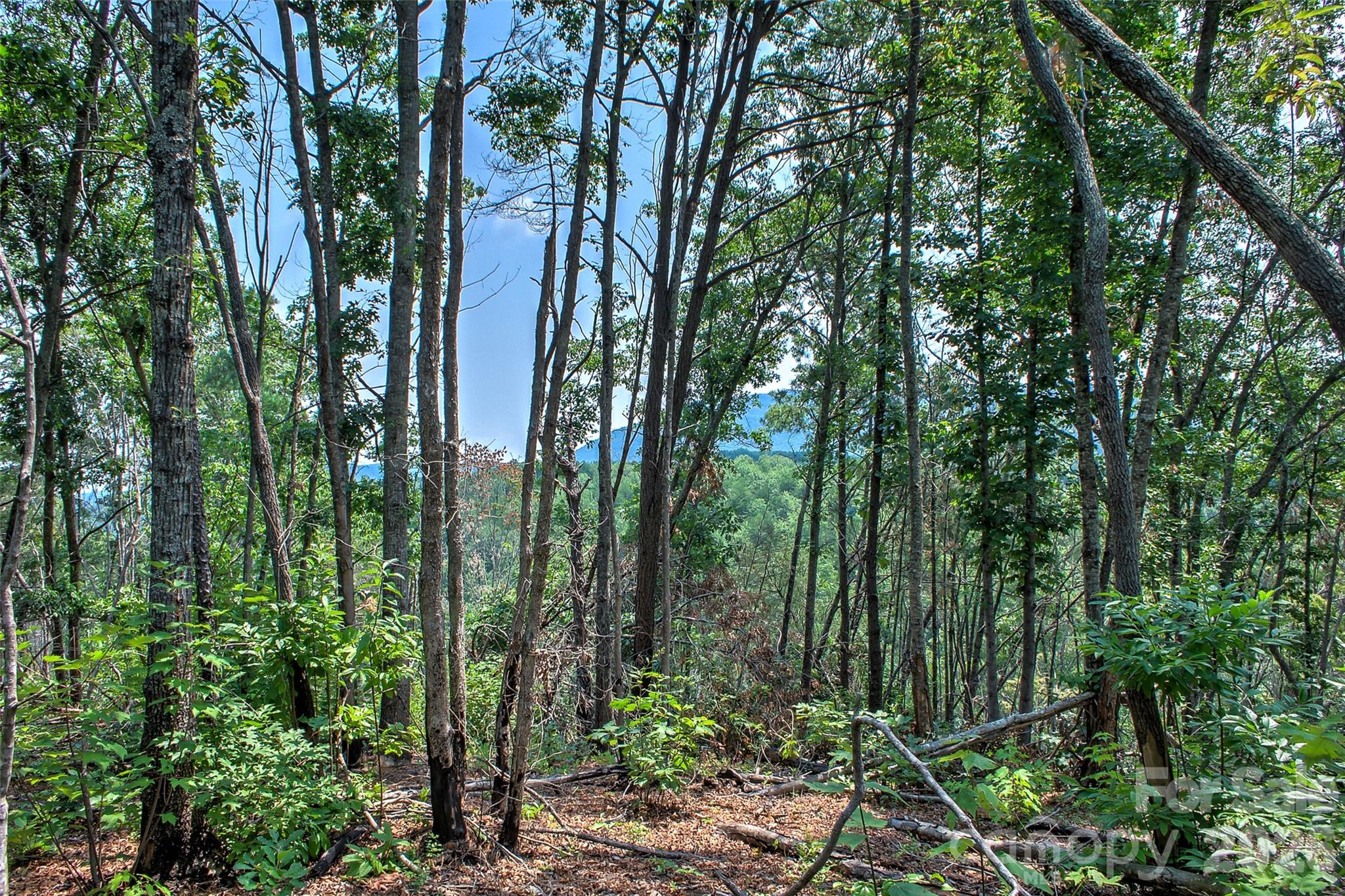 3815 Bat Cave Road Old Fort, NC 28762 - Photo 42 of 48 Gallery Image 42