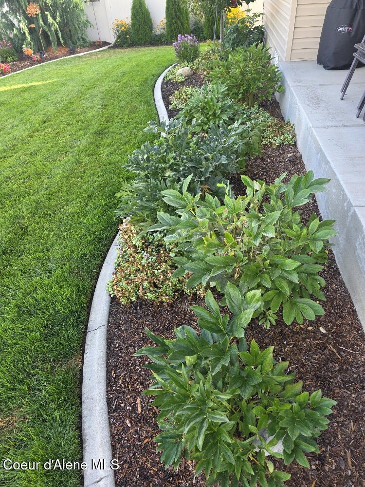 8557 Scotsworth Street Post Falls, ID 83854 - Photo 38 of 49 Backyard