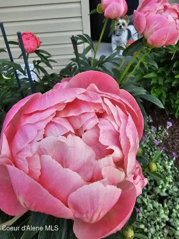 $549,000 | 8557 Scotsworth Street, Post Falls, ID 83854