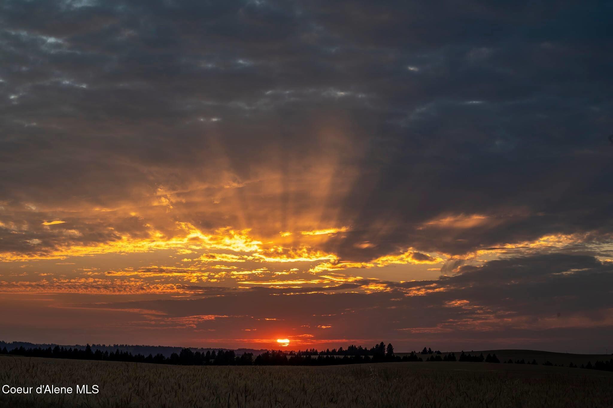 8557 Scotsworth Street Post Falls, ID 83854 - Photo 45 of 49 Sunset