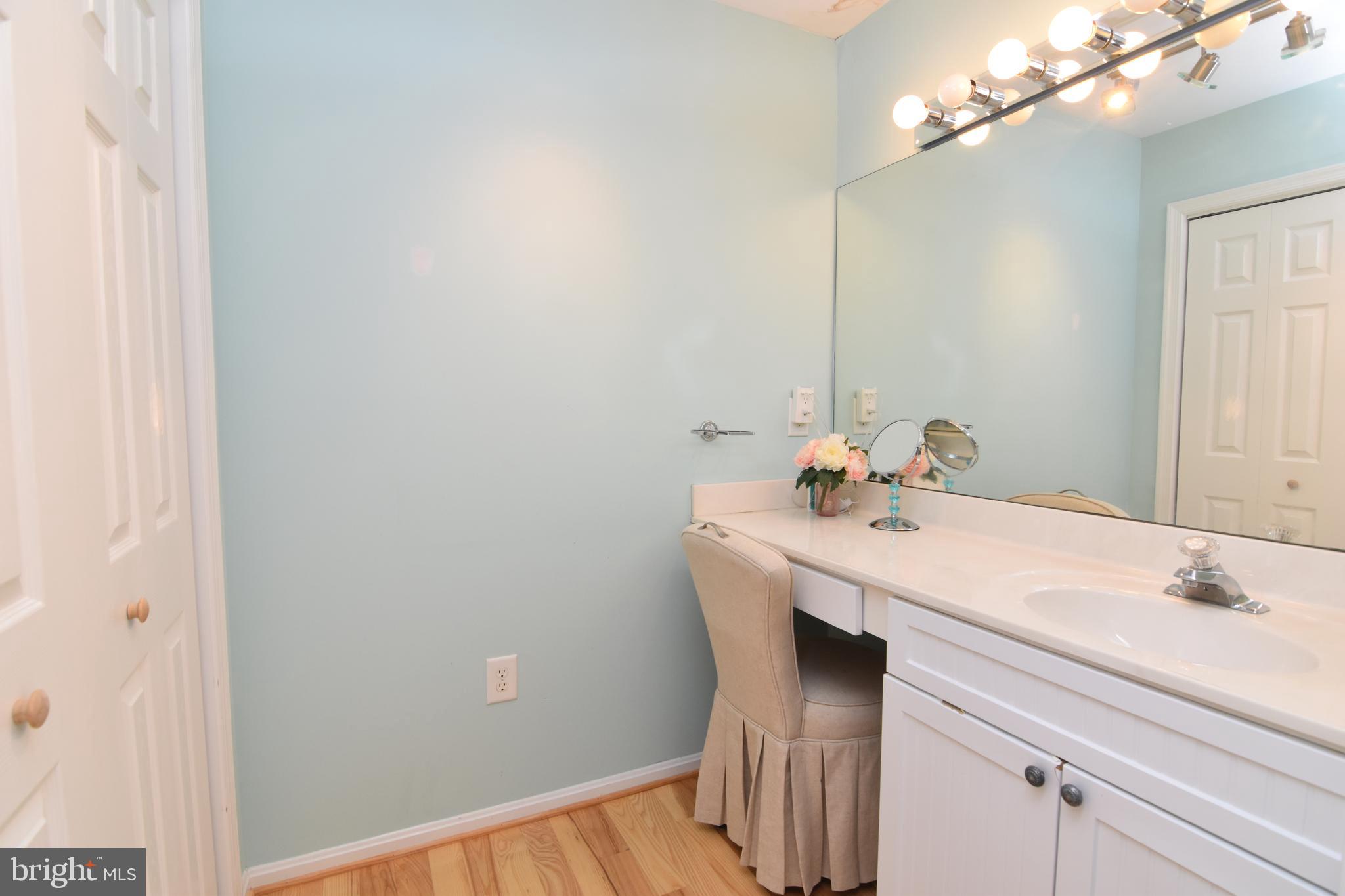 21739 Cryer Road Avenue, MD 20609 - Photo 28 of 62 Master vanity area