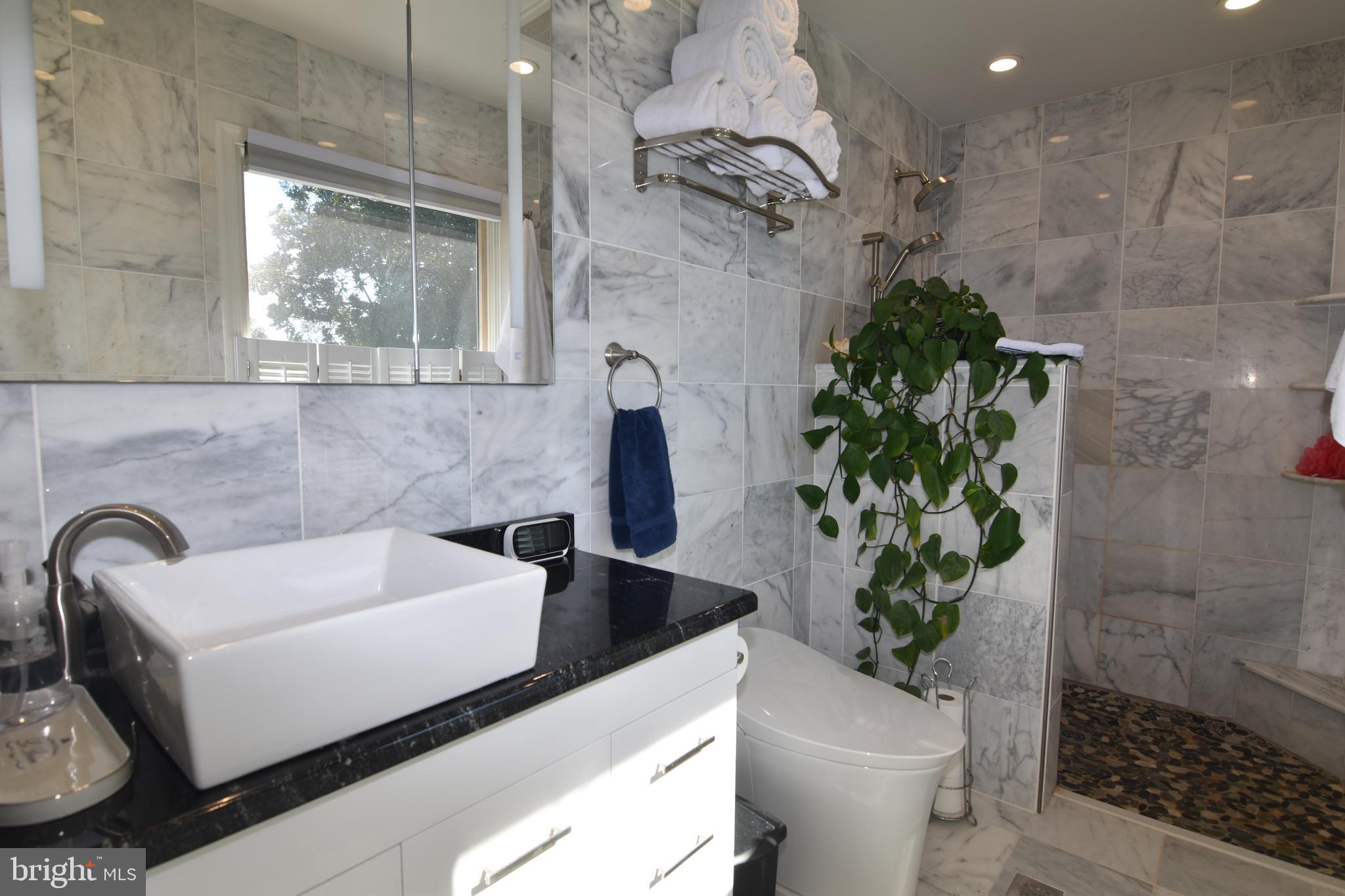 21739 Cryer Road Avenue, MD 20609 - Photo 29 of 62 Master bath, custom marble