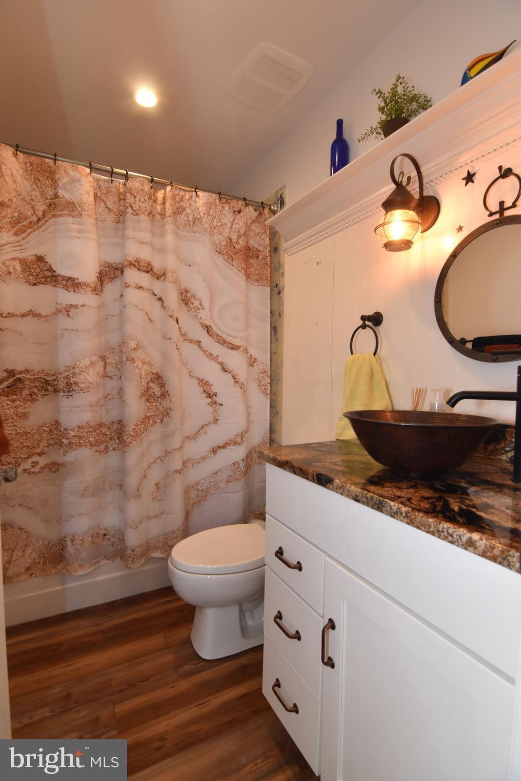 21739 Cryer Road Avenue, MD 20609 - Photo 32 of 62 Hall bath