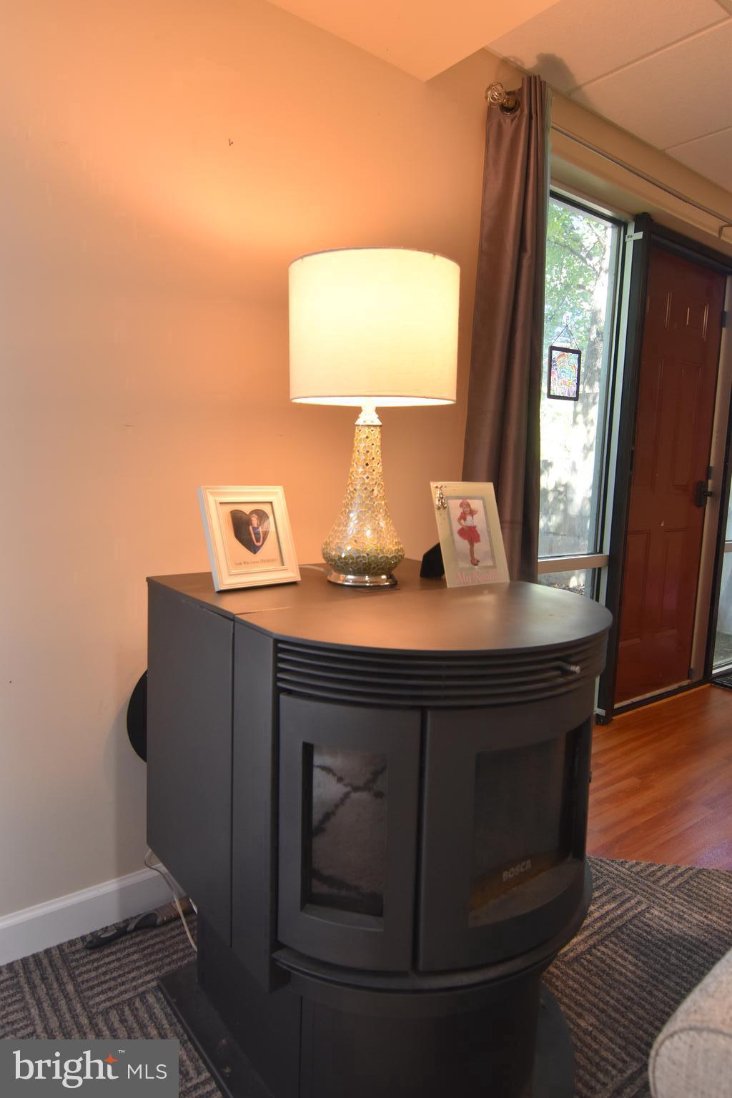 21739 Cryer Road Avenue, MD 20609 - Photo 36 of 62 Pellet stove in basement
