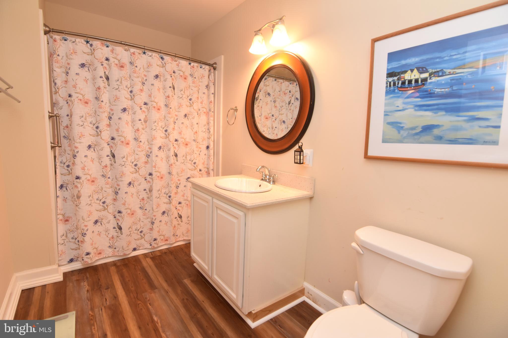 21739 Cryer Road Avenue, MD 20609 - Photo 40 of 62 Basement bath #3