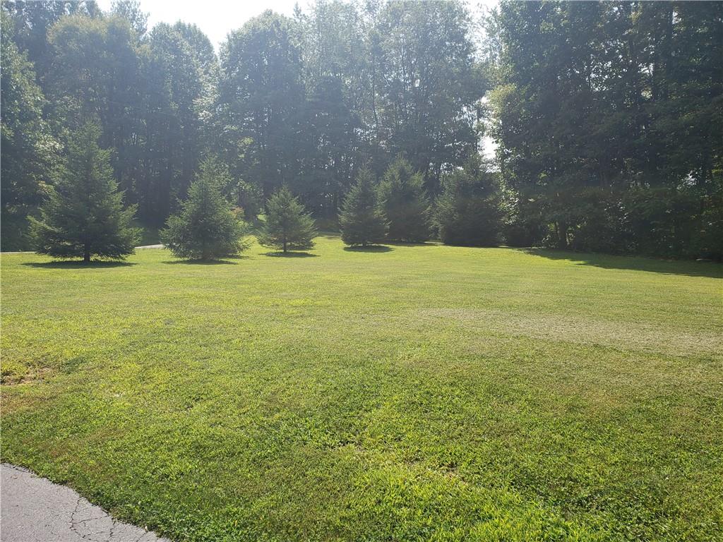 932 Willow Road Shelocta, PA 15774 - Photo 41 of 45 Gallery Image 41
